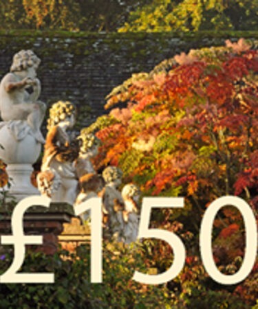 Gift Voucher £150.00