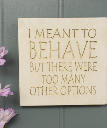 MD Meant to behave