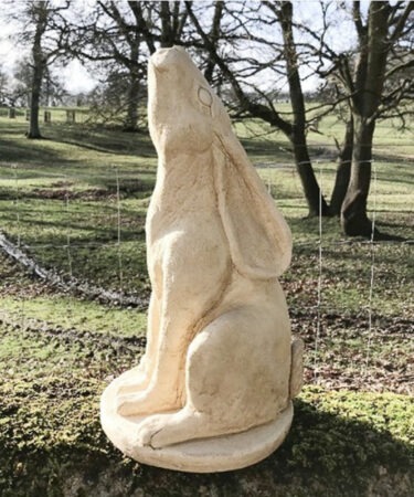 MD M/L Moon Hare