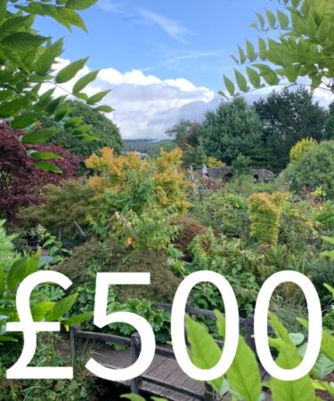 Gift Voucher £500.00